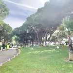 Near Falesia Beach, Lejlighed *
